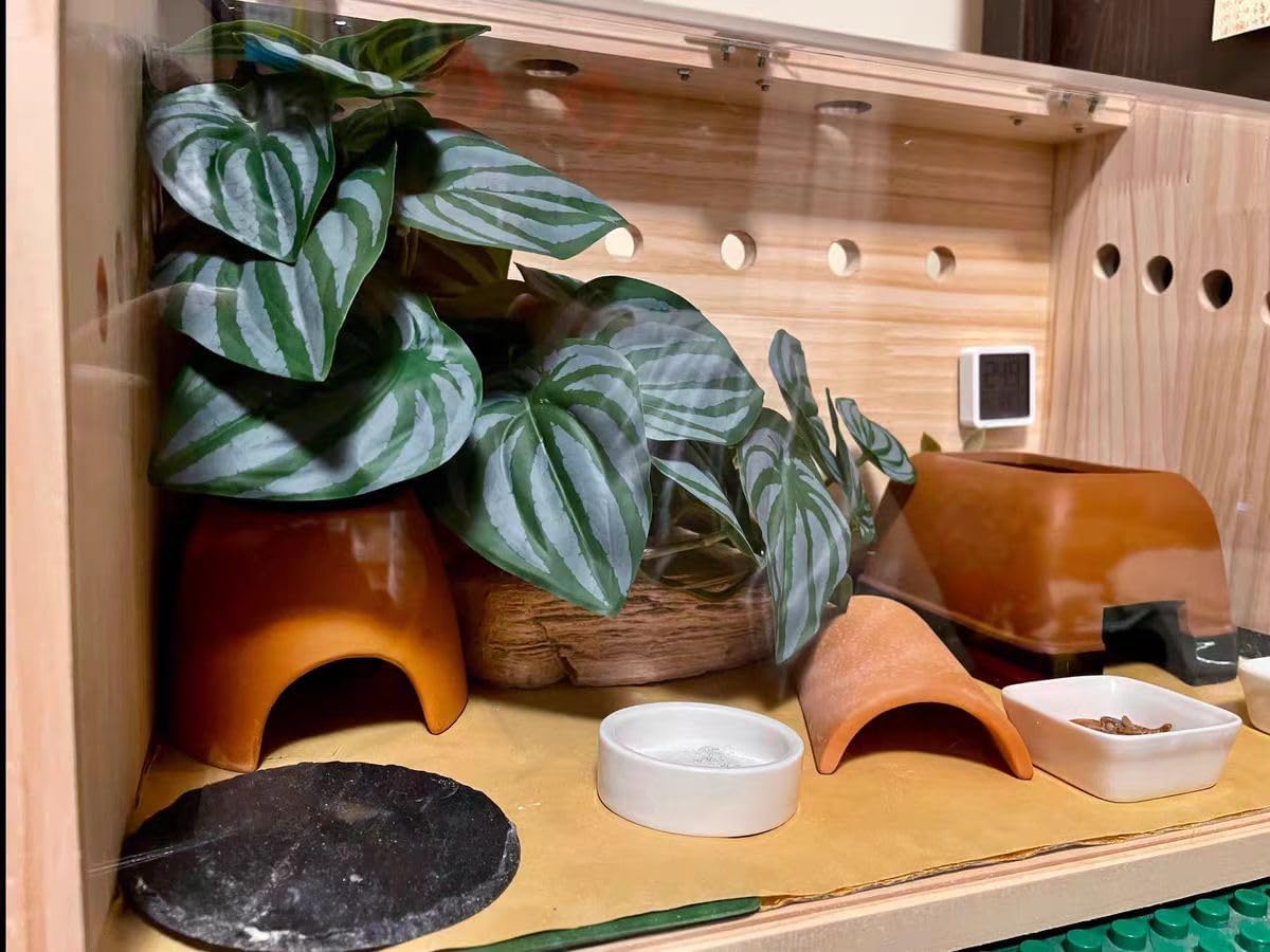 Reptile Plants for Terrarium Decor,Amphibian Habitat Decor,Artificial Plants for Gecko Chameleon Snake Tortoise Tank Accessories with Base (Green Watermelon peperomia)