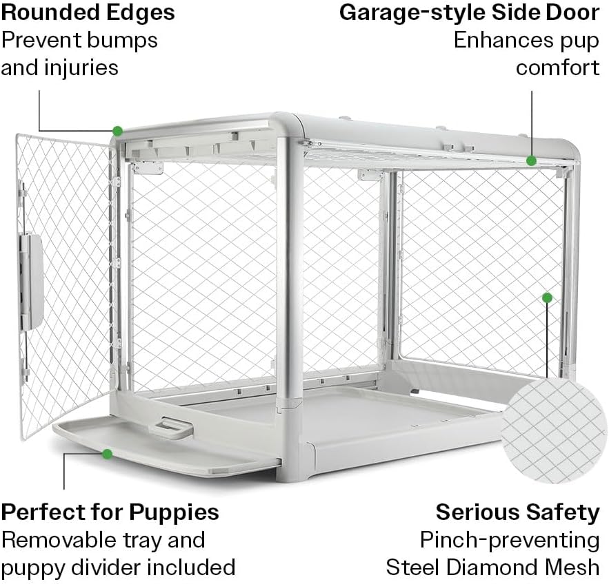 DIGGS Revol Collapsible Dog Crate with Wheels - Premium Portable Dog Crate - Safe, Stylish, and Convenient Indoor Kennel (Ash, Large)