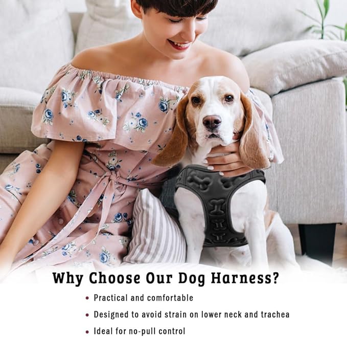 Comfort Fit Dog Harness No Pull with Leash Clips Step in Harness for Small Sized Dogs Soft Padded All Weather Dog Vest with Easy Control No Escape Adjustable Buckles for Dogs & Puppies – Black XS