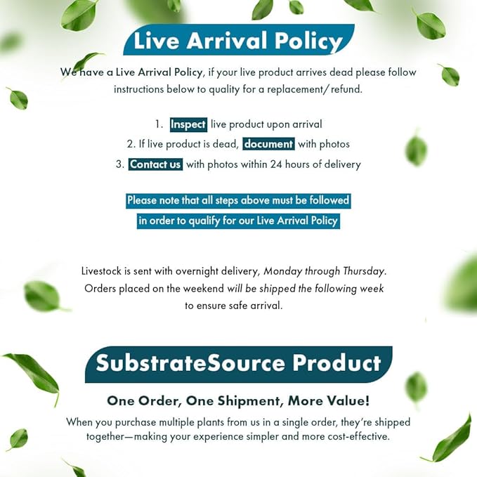 Live Plants - Lobelia Cardinalis (Lobelia cardinalis) - Moderate to High Light, Bright Green Accent Freshwater Aquatic Stem Plant, Midground Placement for Aquascaping - Pot, 3 Pack