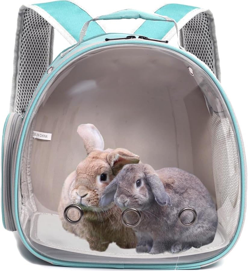 Guinea Pig Carrier Backpack with Soft Warm Mat Set,Lizard Backpack Carrier,Space Capsule Clear Bubble Window Astronaut Reptile Carrier Backpack for Bearded Dragon,Sugar Glider,Bunny