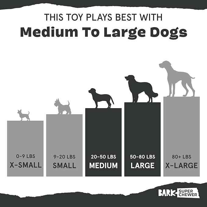 Barkbox Betty Bigfoot Dog Toy for Medium to Large Aggressive Chewers, Durable with Hidden Surprise Toy Inside for Extended Playtime