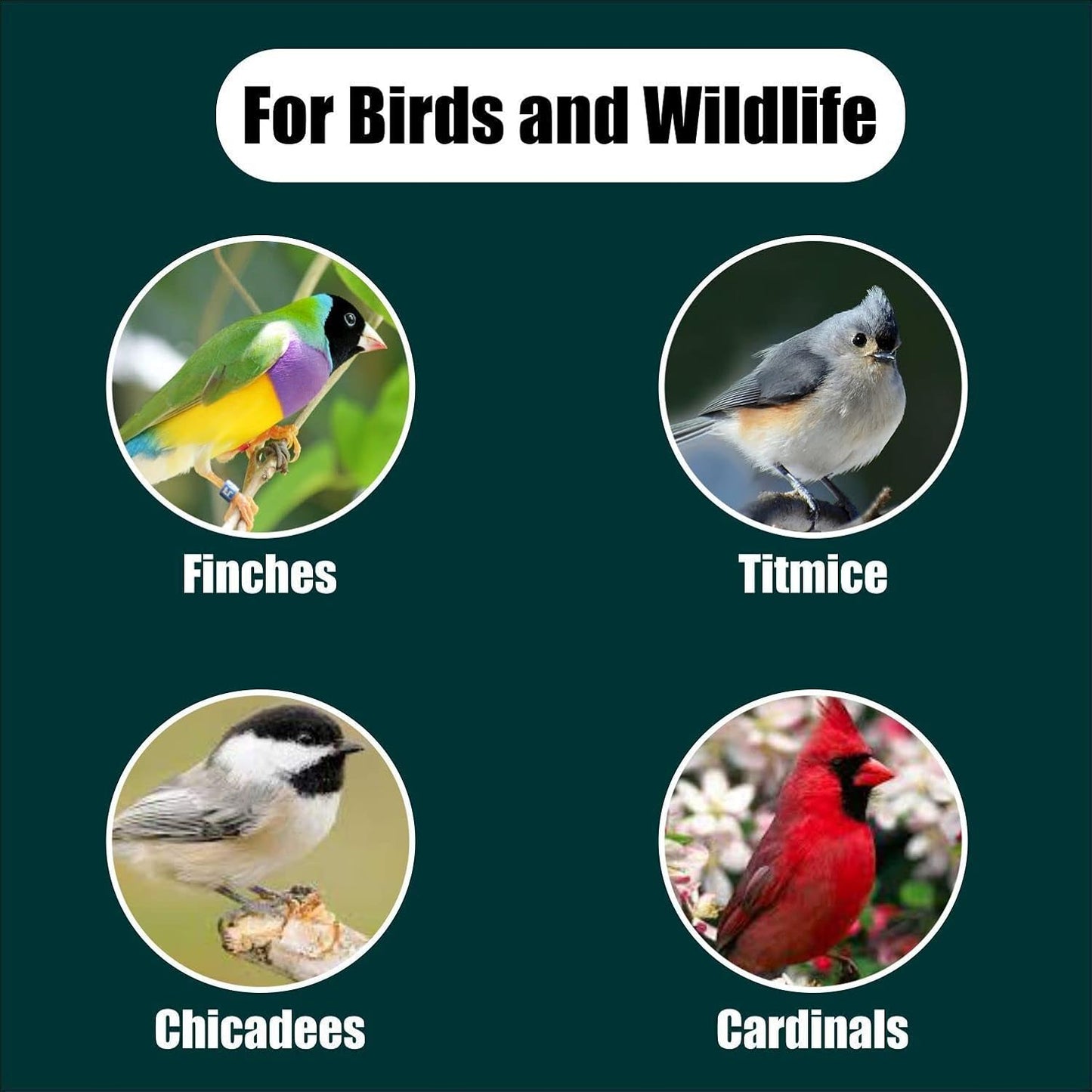 Wildlife Black Oil Sunflower Seeds for Birds and Wildlife, Non-GMO & USA Grown on Small Farms (25 lbs)