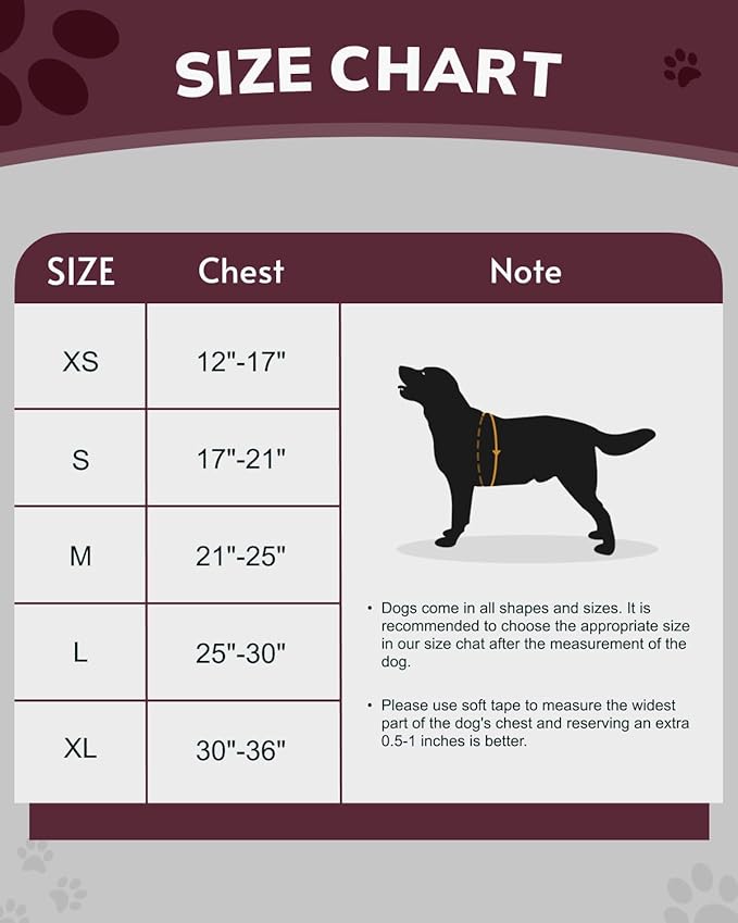 MIDOG No-Pull Dog Harness | Adjustable & Reflective Pet Harness Leash Set for Small Medium Large Dogs Walking, Training| No Choke, Front Clip, Soft Padded Vest with Easy Control Handle - Pink, L