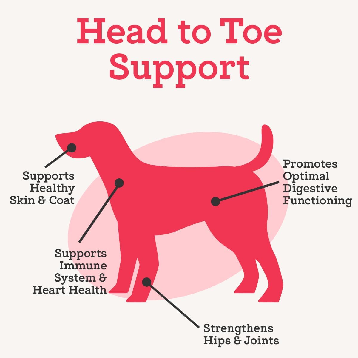 Dr. Joseph's VetPro Complete Multivitamin Dog Supplement, 60 Count (Small Dog 60 Days Supply), 5 in 1 Chew with Vitamins, Enzymes & Nutrients, Hip and Joint Health, Immune System and Allergy Support