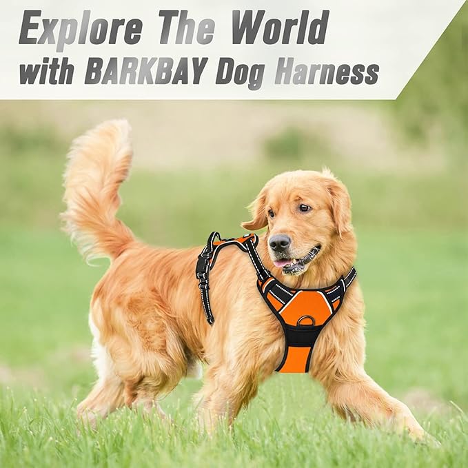 BARKBAY No Pull Dog Harness Front Clip Heavy Duty Reflective Easy Control Handle for Large Dog Walking(Orange,XL)