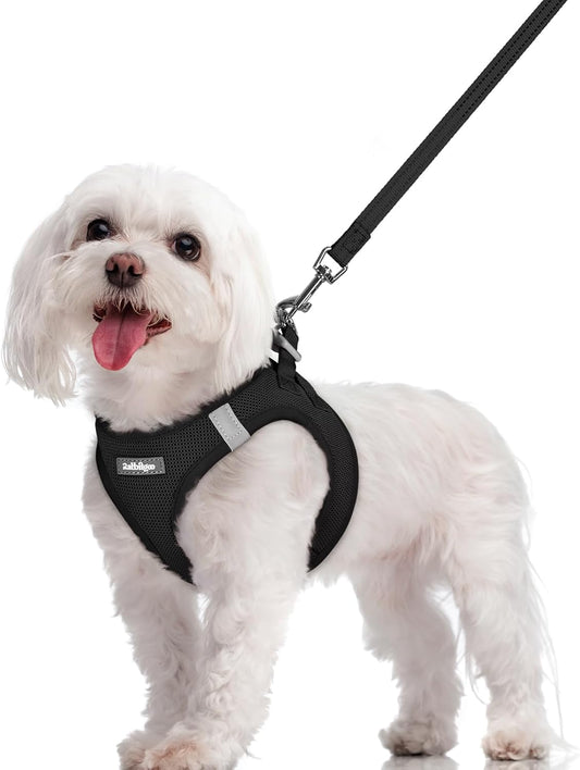 rabbitgoo Dog Harness Small Sized and Leash Set, Step in Soft Light Puppy Vest, Breathable Mesh Pet Harness, Reflective for Safe Easy Walking, Black M