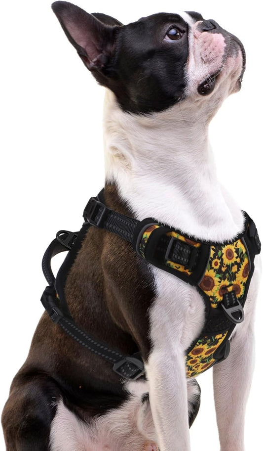 PUPTECK No Pull Dog Harness Small Sized, Adjustable Reflective Dog Harness with Handle Easy Control, Comfortable Soft Padded Pet Vest Harness for Small Dogs, Sunflower S