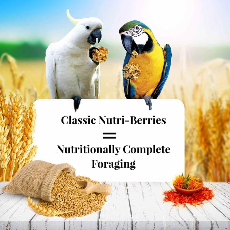 LAFEBER'S Classic Nutri-Berries Pet Bird Food, Made with Non-GMO and Human-Grade Ingredients, for Parrots, 14 lb