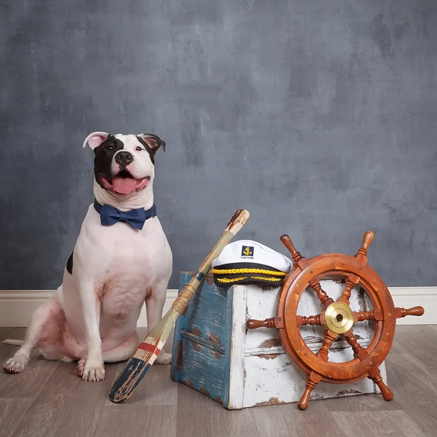 Lionet Paws Boy Dog Collar with Bowtie, Comfortable Adjustable Cute Navy Blue Bow Tie Collar for Male Dogs Gift, Large, Neck 16-24 inches