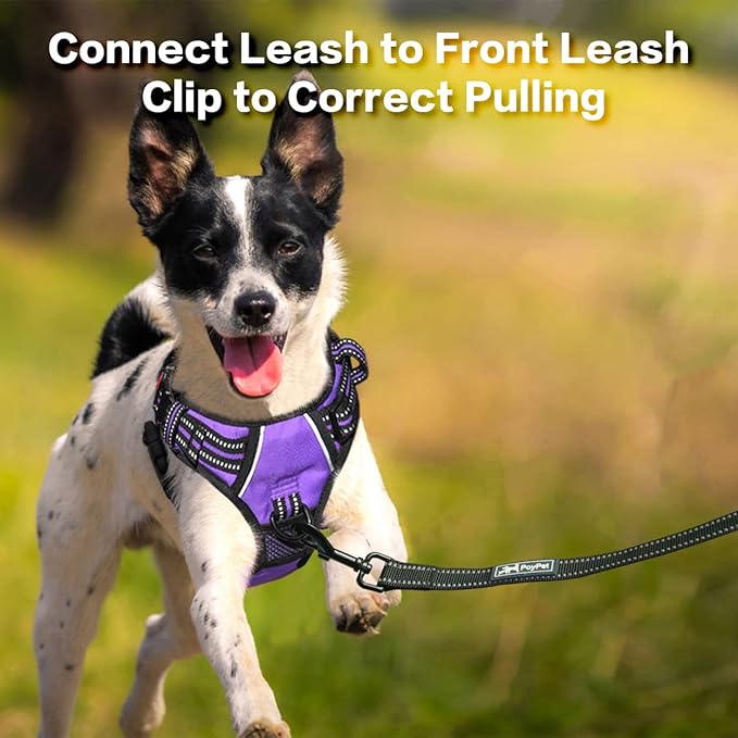 PoyPet No Pull Dog Harness, No Choke Front Clip Reflective Dog Vest with Soft Padded Vertical Handle, 3 Leash Attachments for Small Medium Large Dogs (Purple,S)