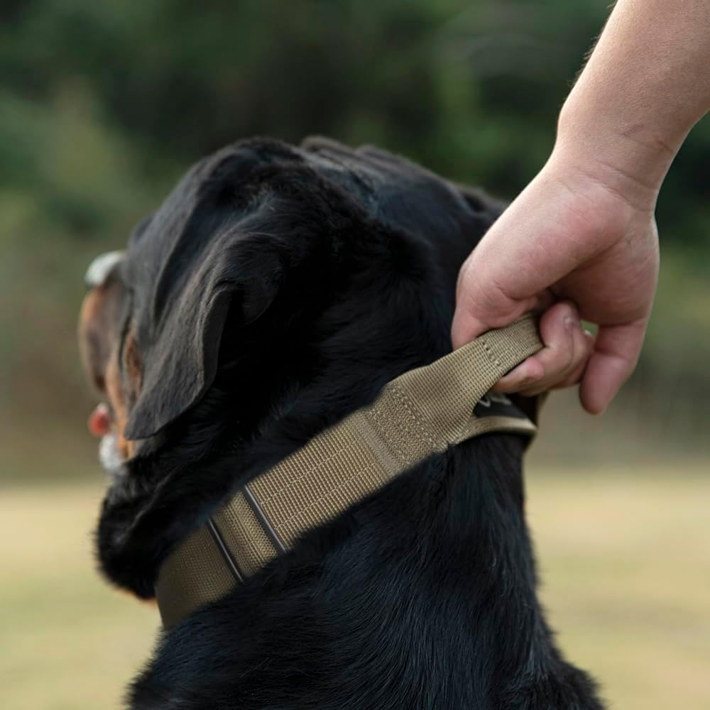 TSPRO Premium Dog Collars Tactical Dog Collar with Handle and Heavy Duty Quick-Release Metal Buckle Durable Thick and Adjustable for Medium to Large Dogs (Gradient Rainbow M)