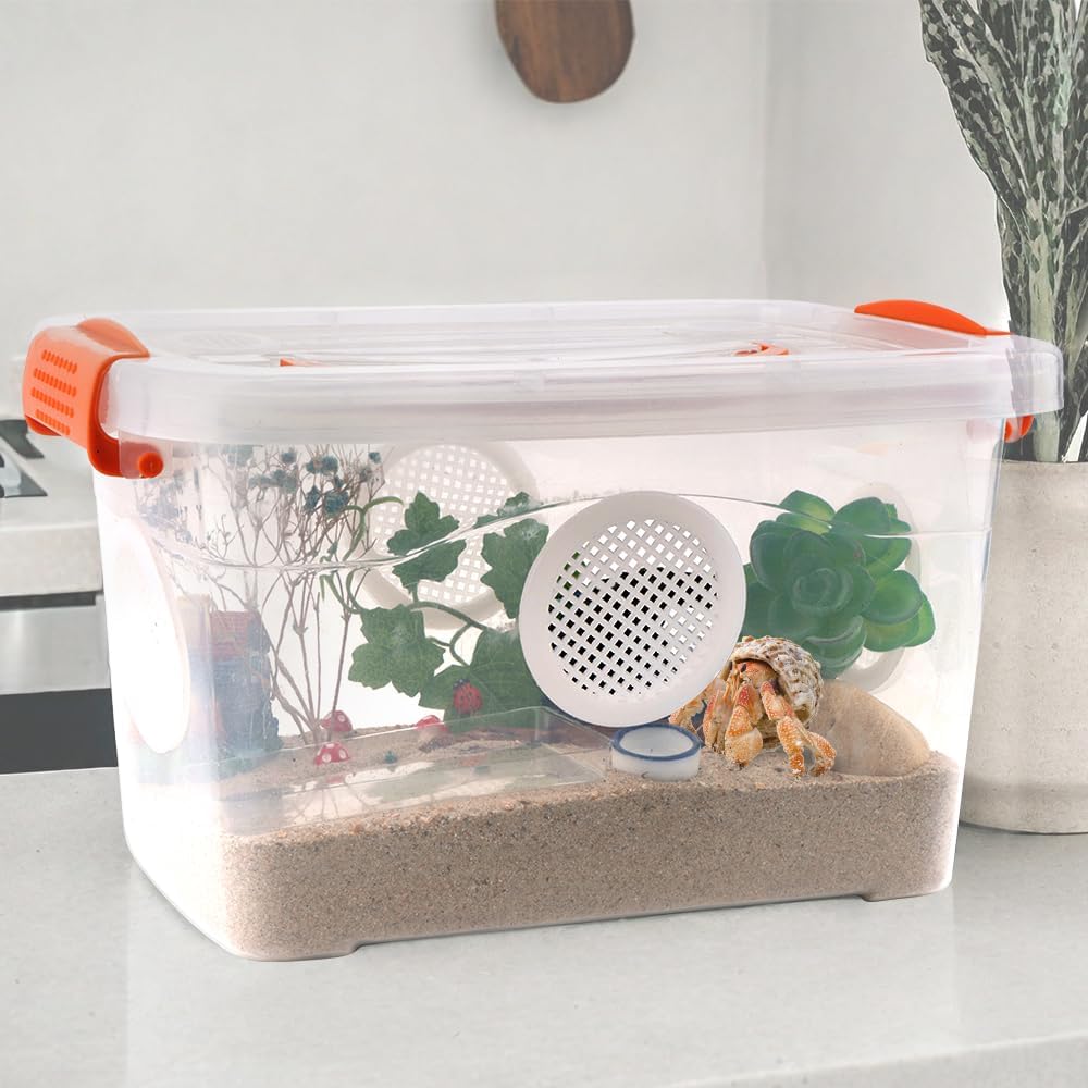 Reptile Feeding Box Snake Plastic Transparent Breeding Box Hatching Container for Small Reptile Bearded Gecko Dragon Lizard Spider Frog Scorpion (11 x 7.8 x 6.7 Inch)