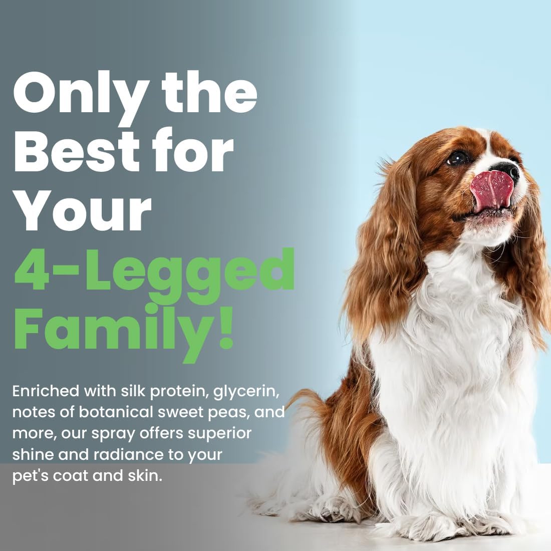 Best Shot UltraMAX Pro Finishing Spray, Ideal Detangler Spray for Pets, Hydrating and Soothing Pet Grooming Spray, for Dogs and Cats, 34 Oz.