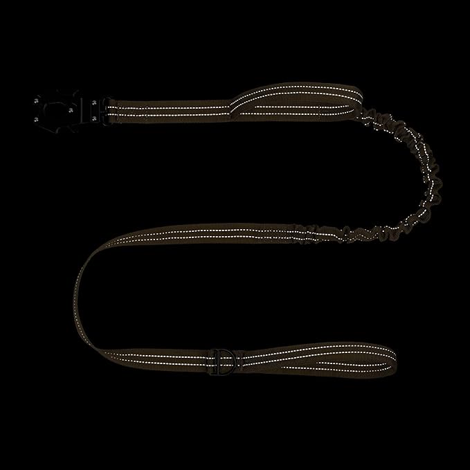 ICEFANG Tactical Dog Leash,K9 Training Walking Bungee Lead with 2 Control Handle,Heavy Duty Quick Release Metal Clasp,Hands Free D-Ring for Medium Large Dogs (4ft,Reflective Brown)