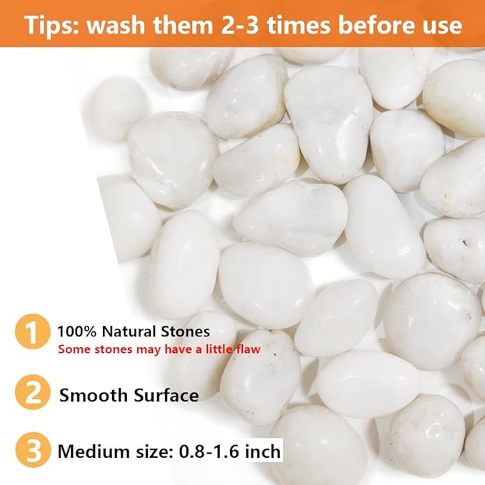HappyFiller Natural Decorative White Pebbles Polished Rocks Stones for Aquarium Gravel,Fish Turtle Tank,Outdoor Indoor Succulents Plants Top Dressing,Graden Landscaping,10 LB