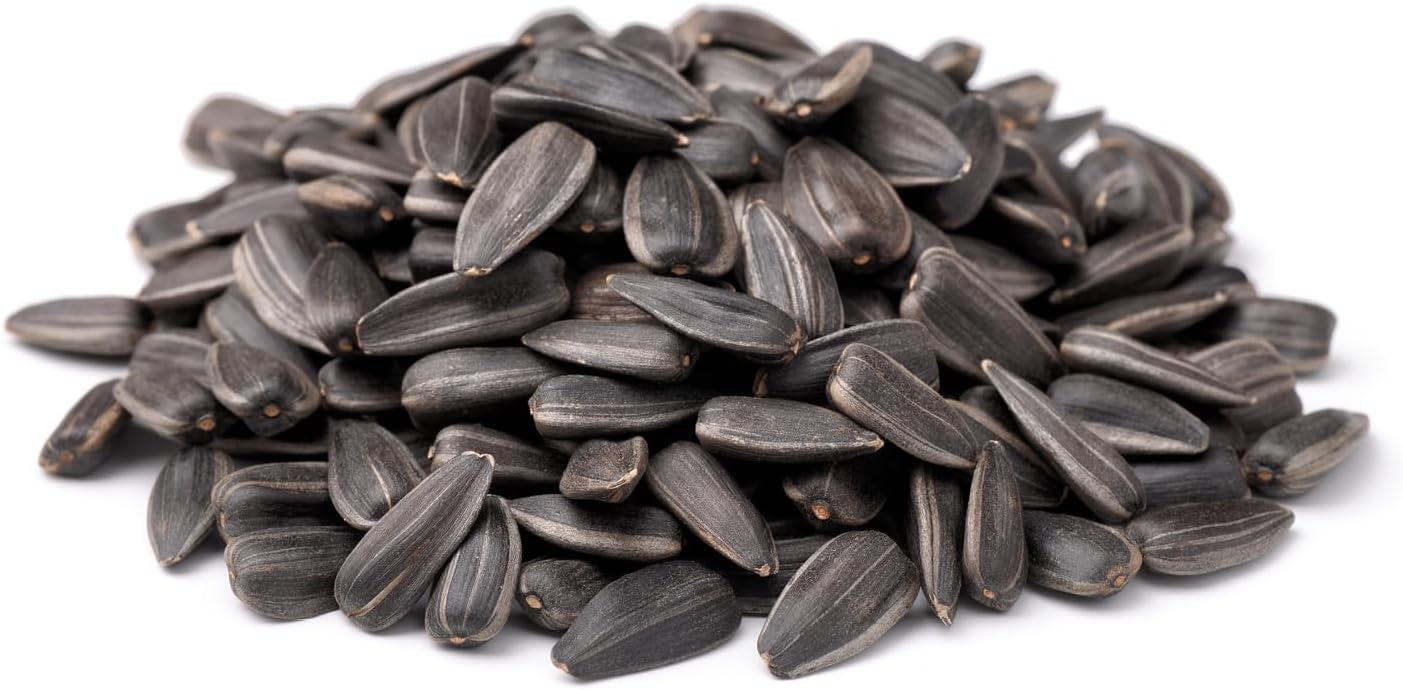 CountryMax Backyard Seeds Black Oil Sunflower for Wild Birds (50 Pounds)