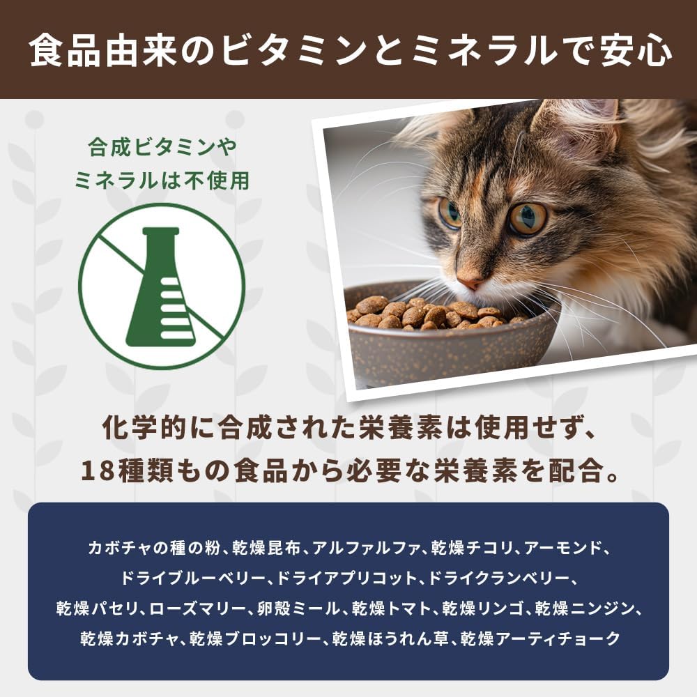 Nature's Logic Sardine Dry Cat Food (1 Pack), 3.3 lb