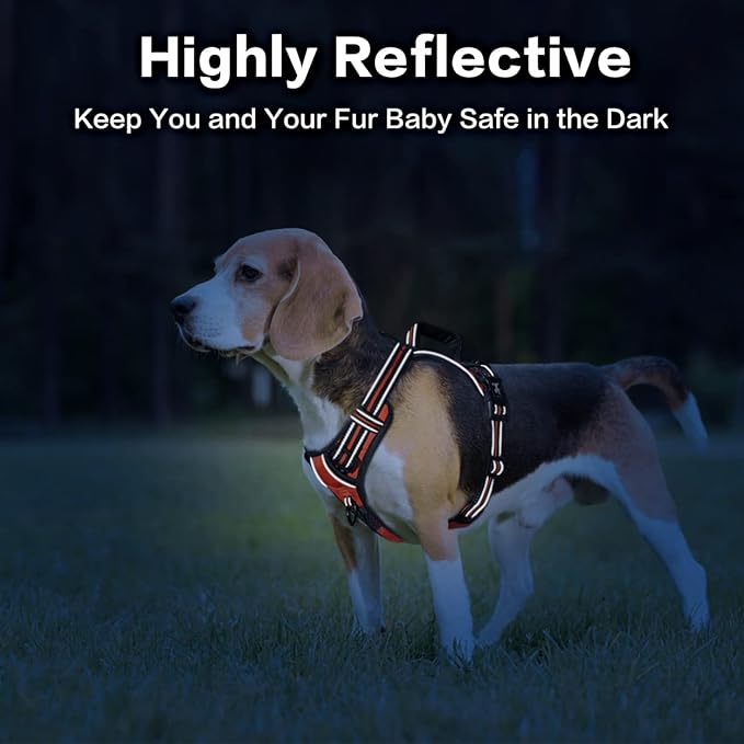 PoyPet No Pull Dog Harness, No Choke Front Clip Reflective Dog Vest with Soft Padded Vertical Handle, 3 Leash Attachments for Small Medium Large Dogs (Orange,XL)