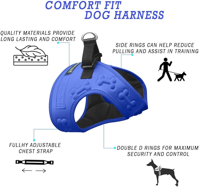 Comfort Fit Dog Harness No Pull with 2 Leash Clips Step in Harness for Small Sized Dogs Soft Padded Comfortable All Weather Dog Vest with Easy Control Adjustable Buckles for Dogs & Puppies – Blue XS