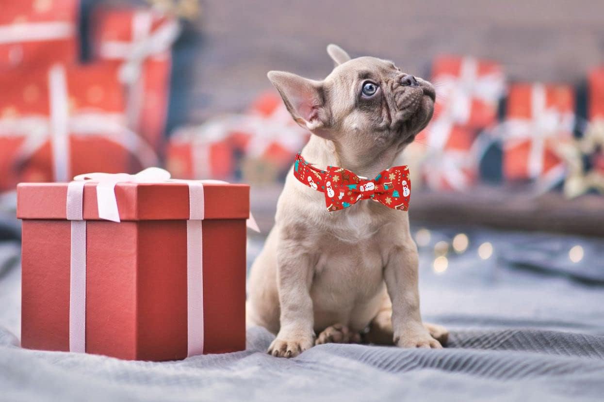 Lionet Paws Christmas Dog Collar with Bowtie, Dog Bowtie Collar with Metal Buckle for Dogs, Adjustable Comfortable Dog Collar Girl Boy Gift, L, Neck 16-24 in