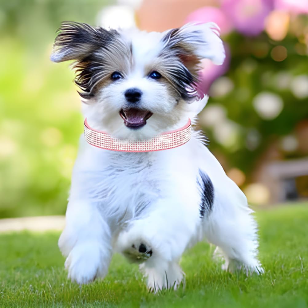 Rhinestone Dog Collar for Small Dogs, Bling Diamond Fancy Crystal Glitter Pretty Jewel Pet Puppy Collars for XXS XS Small Medium Large Breed Girl Dogs Female Cats Kitten, Colorful Pink S