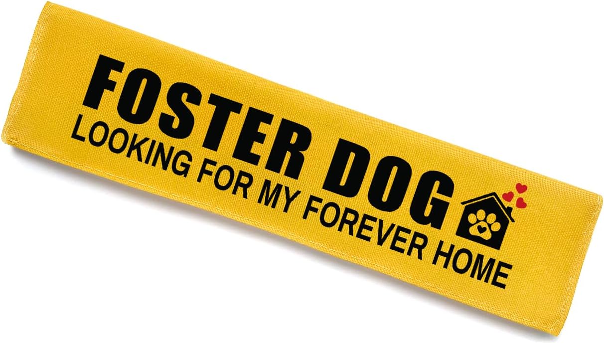 Foster Dog Looking for My Forever Home Dog Leash Sleeve, Funny Yellow Dog Leash Wrap Alert Hanging ID Patch Tag, Service Dog Leash Wrap Dog Pet Leash Sleeve Pet Birthday Gifts for Dog Owners
