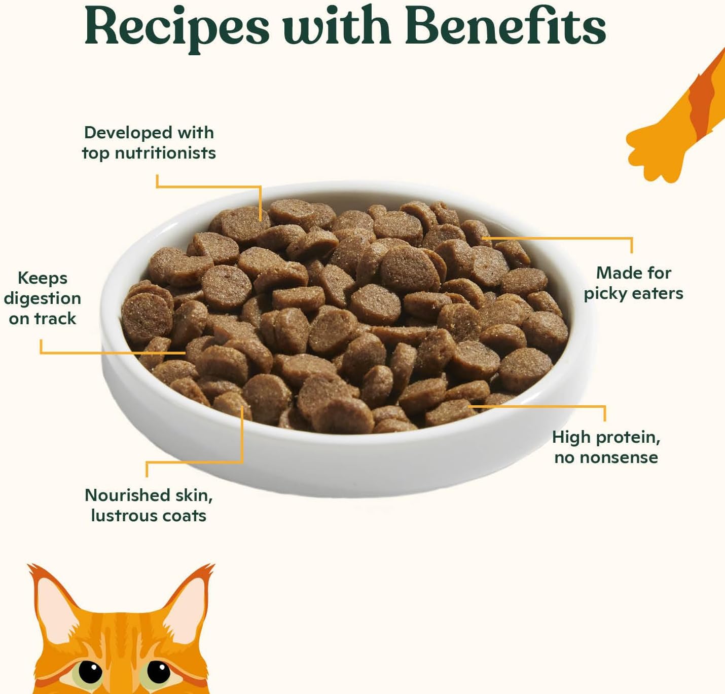 Made by Nacho Dry Cat Kibble 2lb Bag, High Protein and Grain-Friendly Premium Cat Food, Sustainably Caught Salmon and Pumpkin, Infused with Bone Broth for Hydration, Limited Ingredients, Single Bag