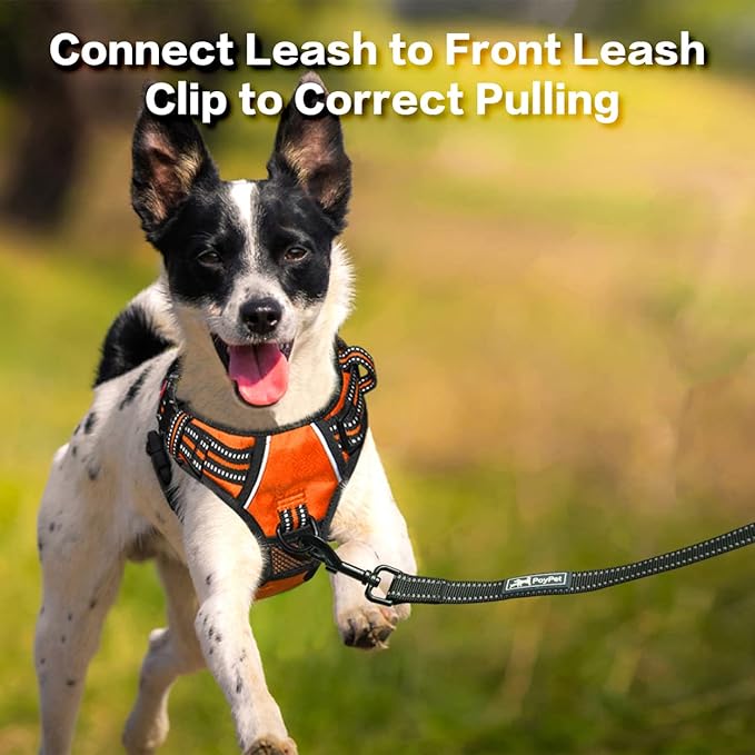 PoyPet No Pull Dog Harness, No Choke Front Clip Reflective Dog Vest with Soft Padded Vertical Handle, 3 Leash Attachments for Small Medium Large Dogs (Orange,S)