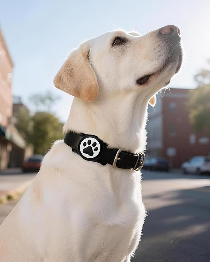 IP68 Waterpoof Dog Airtag Holder, Stretchy Silicone Full Body Covered Apple Air Tag Holder for Dog Cat Collar Fit All Width Collar (Black/Red, 2 Pack)