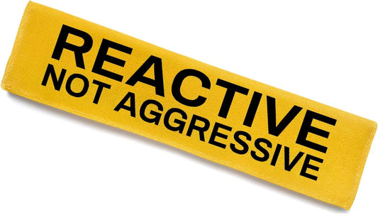 Reactive Dog Leash Sleeve - Funny Yellow Wrap with 'Do Not Pet' Patch - Alert Hanging ID Tag - Perfect for Dog Owners