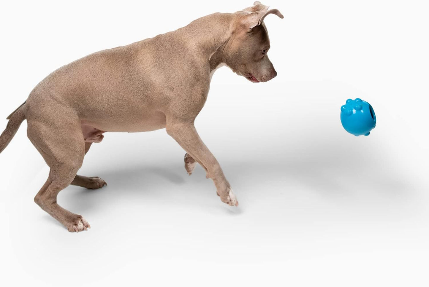 Jolly Dipper Treat Dispensing Dog Toy