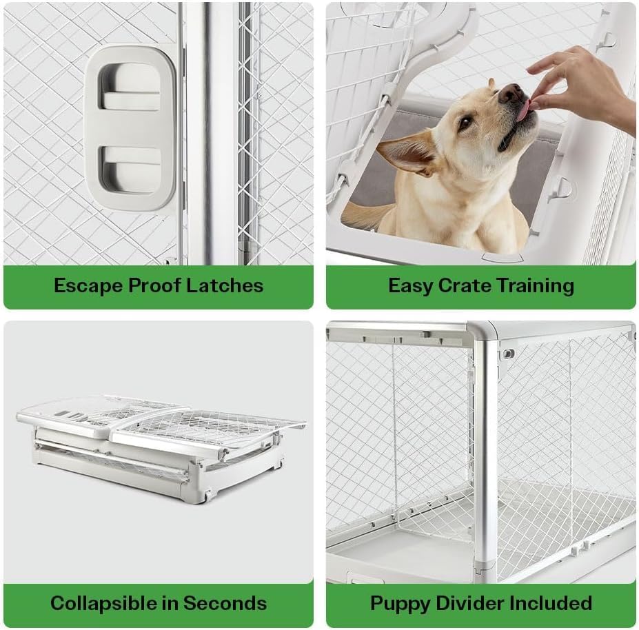 DIGGS Revol Collapsible Dog Crate with Wheels - Premium Portable Dog Crate - Safe, Stylish, and Convenient Indoor Kennel (Smoke, Medium)