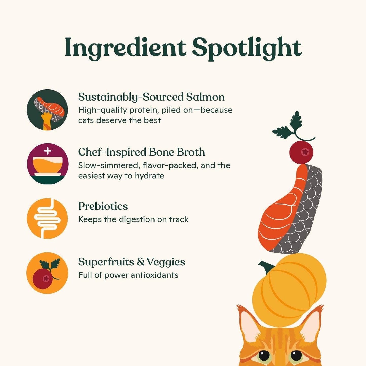 Made by Nacho Dry Cat Kibble 4lb Bag, High Protein and Grain-Friendly Premium Cat Food, Sustainably Caught Salmon and Pumpkin, Infused with Bone Broth for Hydration, Limited Ingredients, Single Bag