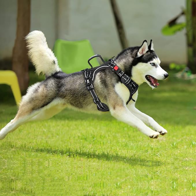 PoyPet No Pull Dog Harness, No Choke Front Clip Reflective Dog Vest with Soft Padded Vertical Handle, 3 Leash Attachments for Small Medium Large Dogs (Black,L)