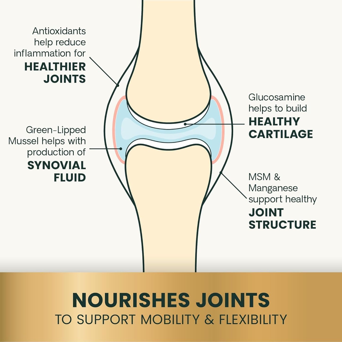 VetriScience Ultimate Strength Healthy Hip & Joint Chews, GlycoFlex Glucosamine, Chondroitin & Green-Lipped Mussel Joint Support Supplement for Dogs, Soothe Joint Discomfort, Peanut Butter, 120 Count