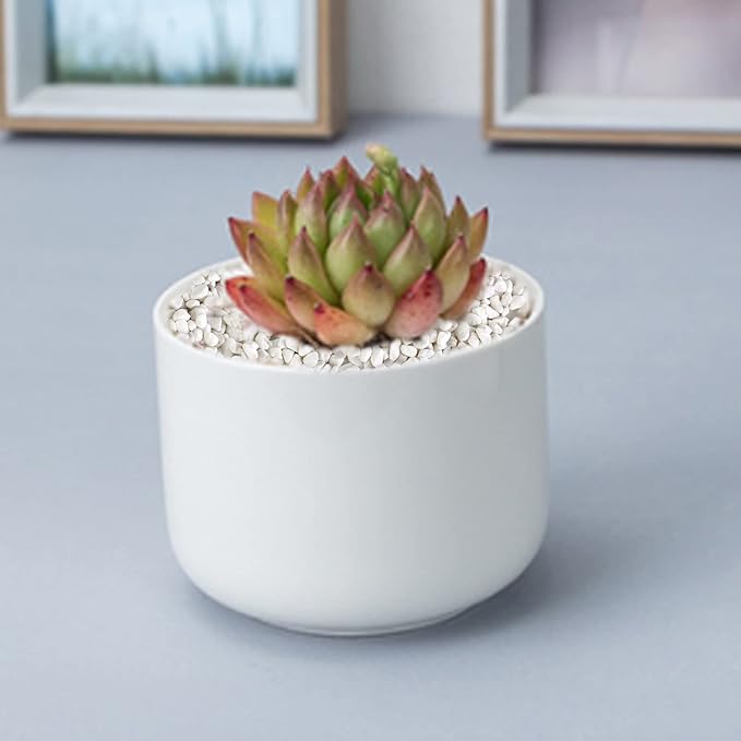 HappyFiller 18 LB White Gravels Small Terrarium Rocks Stones for Bamboo,Cactus,Vase Fillers,Succulents Plants,Landscaping,Aquarium,Zen Garden,1 Inch