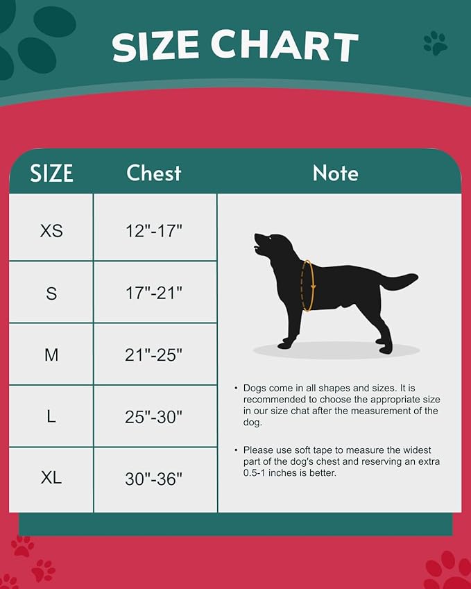 MIDOG No-Pull Dog Harness | Adjustable & Reflective Pet Harness Leash Set for Small Medium Large Dogs Walking, Training| No Choke, Front Clip, Soft Padded Vest with Easy Control Handle - Red, XS