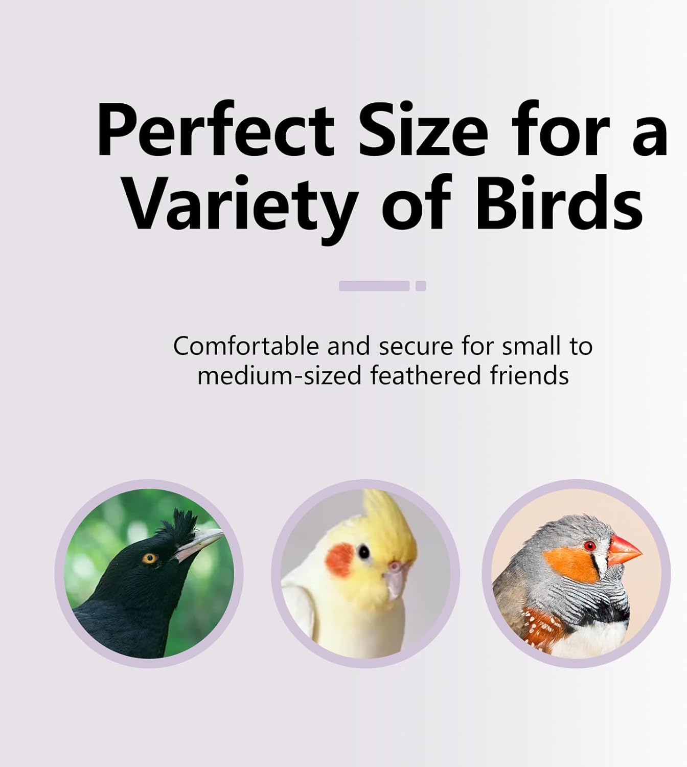 Natural Mineral Bird Perch for Cage Parrot Perch Platform for Beak Grinding Claw Trimming & Chewing Chew Toy for Parakeets Cockatiels Conures Birds Cage Accessories (Gradient Purple, 4.7")