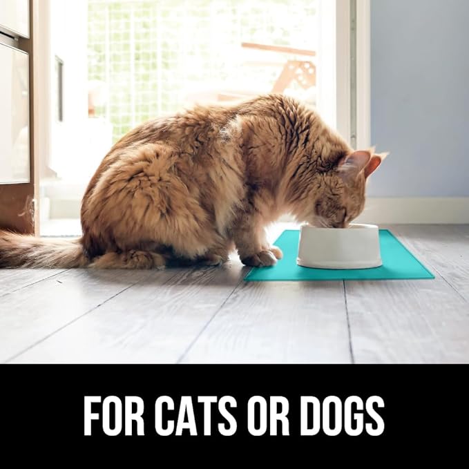 GORILLA GRIP 100% Waterproof Raised Edge BPA Free Silicone Pet Feeding Mat, Dog Cat Food Mats Contain Spills Protects Floors, Placemats for Cats and Dogs Water Bowl, Pets Accessories 16x10, Turquoise