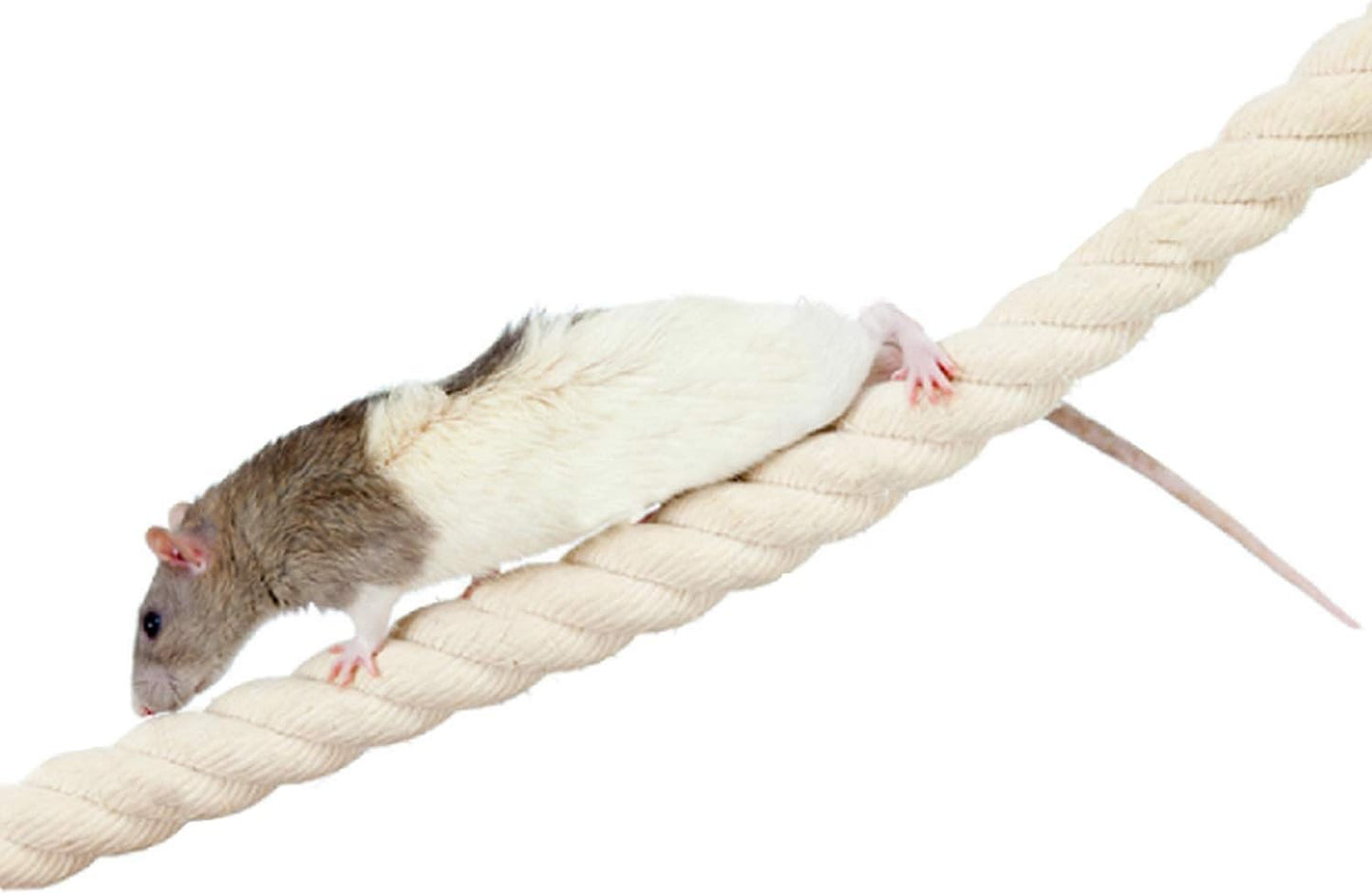 42 Inch Natural Rope (Regular) - Flexible Bendable Climbing Rope Perch Cage Accessory Toy - Sugar Gliders, Squirrels, Degus, Marmosets, Monkeys, Parrots, Birds, Rats & Other Small Pets