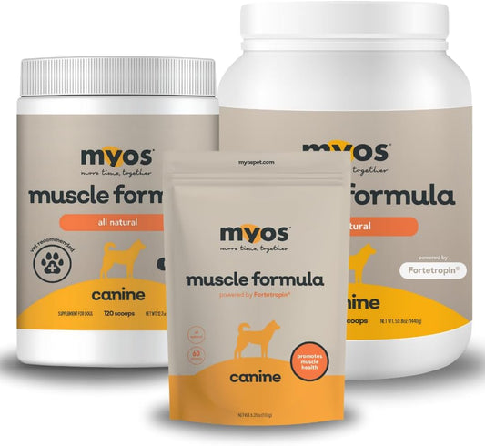 MYOS Canine Muscle Formula - All-Natural Muscle Building Supplement - Helps Reduce Muscle Loss in Aging Dogs and Improve Recovery from Injury or Surgery
