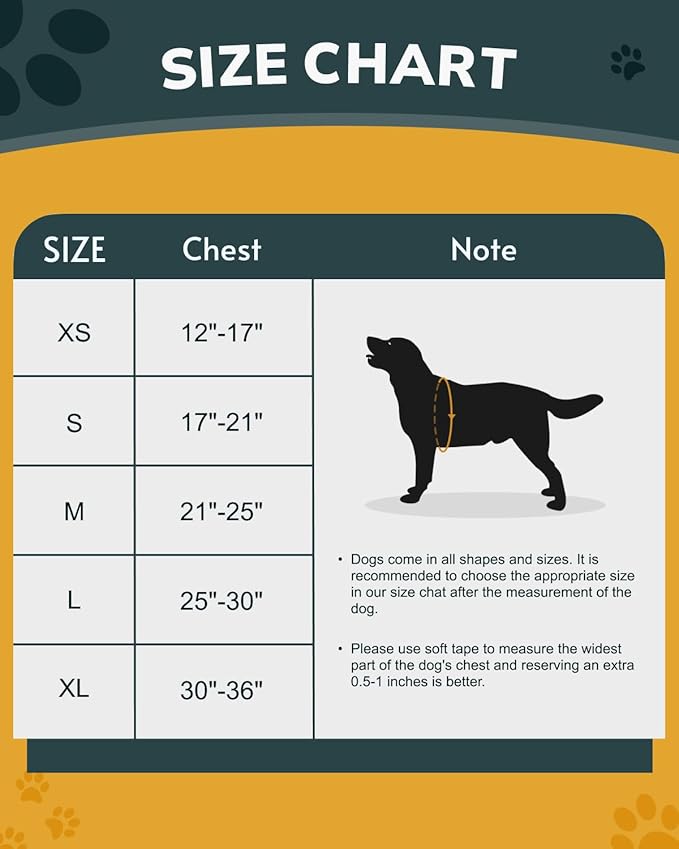 MIDOG No-Pull Dog Harness | Adjustable & Reflective Pet Harness Leash Set for Small Medium Large Dogs Walking, Training| No Choke, Front Clip, Soft Padded Vest with Easy Control Handle - Blue, XS
