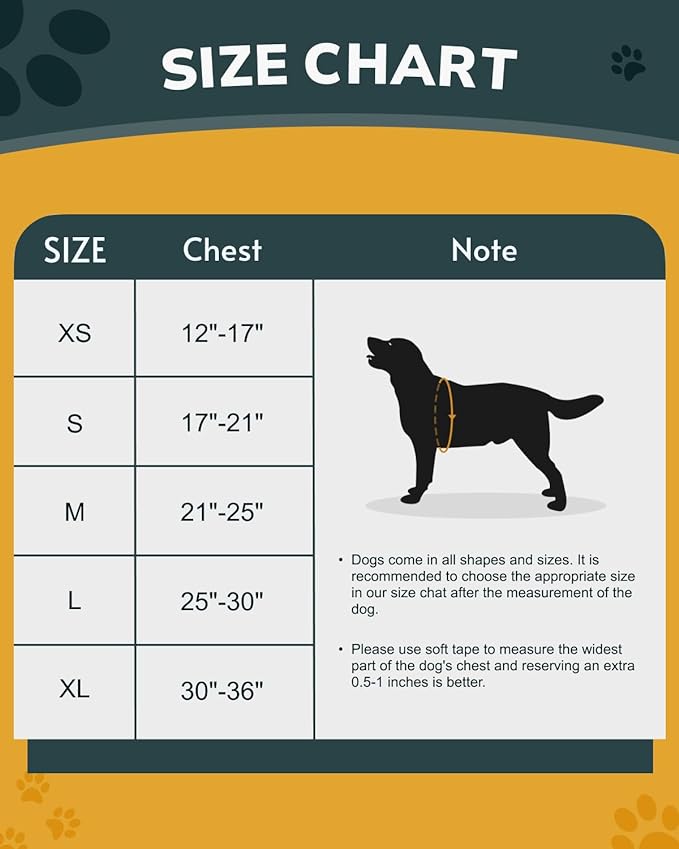 MIDOG No-Pull Dog Harness | Adjustable & Reflective Pet Harness Leash Set for Small Medium Large Dogs Walking, Training| No Choke, Front Clip, Soft Padded Vest with Easy Control Handle - Blue, M