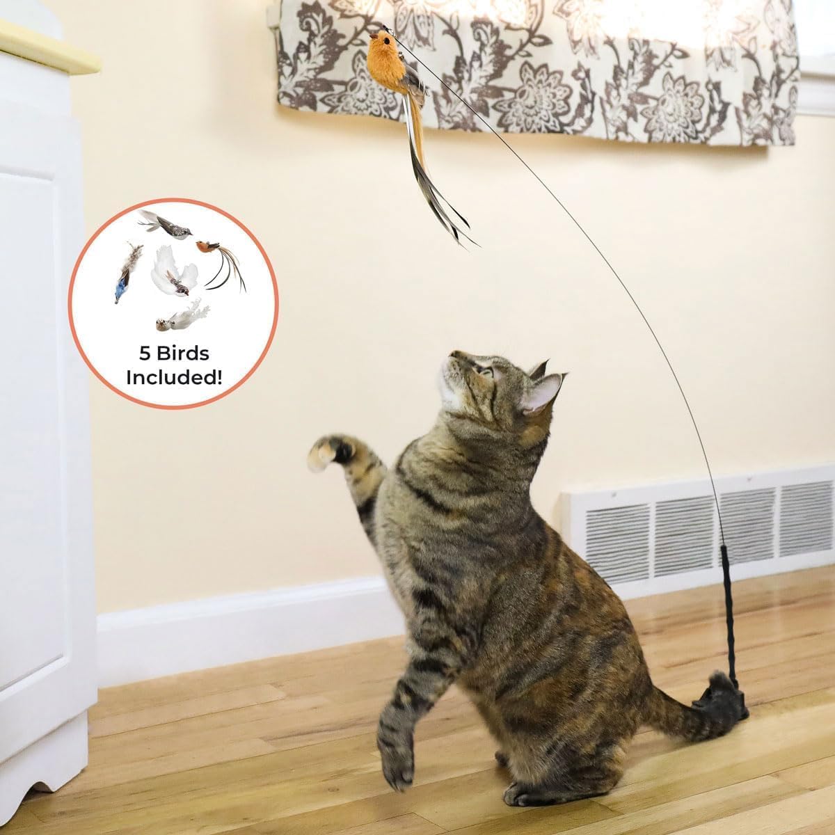 Interactive Bird Simulation Cat Toy Set, Interactive Cat Toy for Indoor Cats, Cat Feather Toy, Suction Cup, Weighted Base, 5 Replacement Birds, Feathers & Bells, Realistic Bird Impression