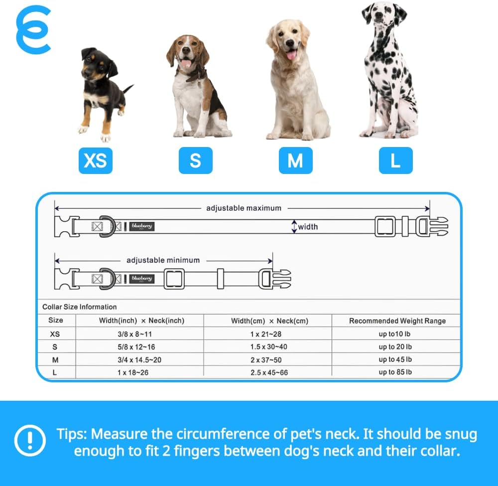 Blueberry Pet Essentials Matching Medium Adjustable & Durable Classic Solid Color Nylon Dog Collars for Medium Dogs | Mint Blue Collar for Girl & Boy Dogs