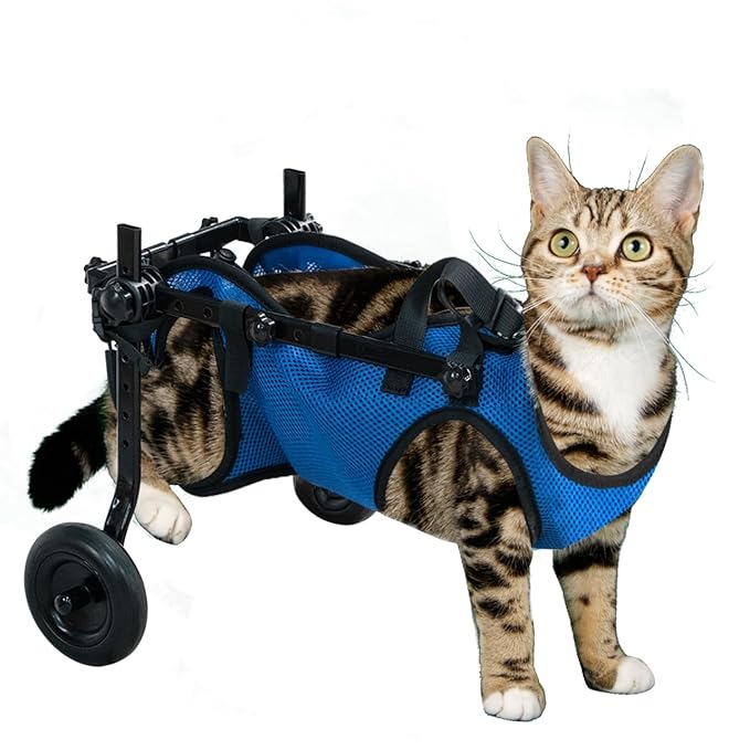 Pet Wheelchair for Leg Support Helps Senior， Wheelchair for Back Legs，Adjustable Pet Cart，Assist a paralyzed pet get Back on its feet，Support Leg Brace and Hip(Small)