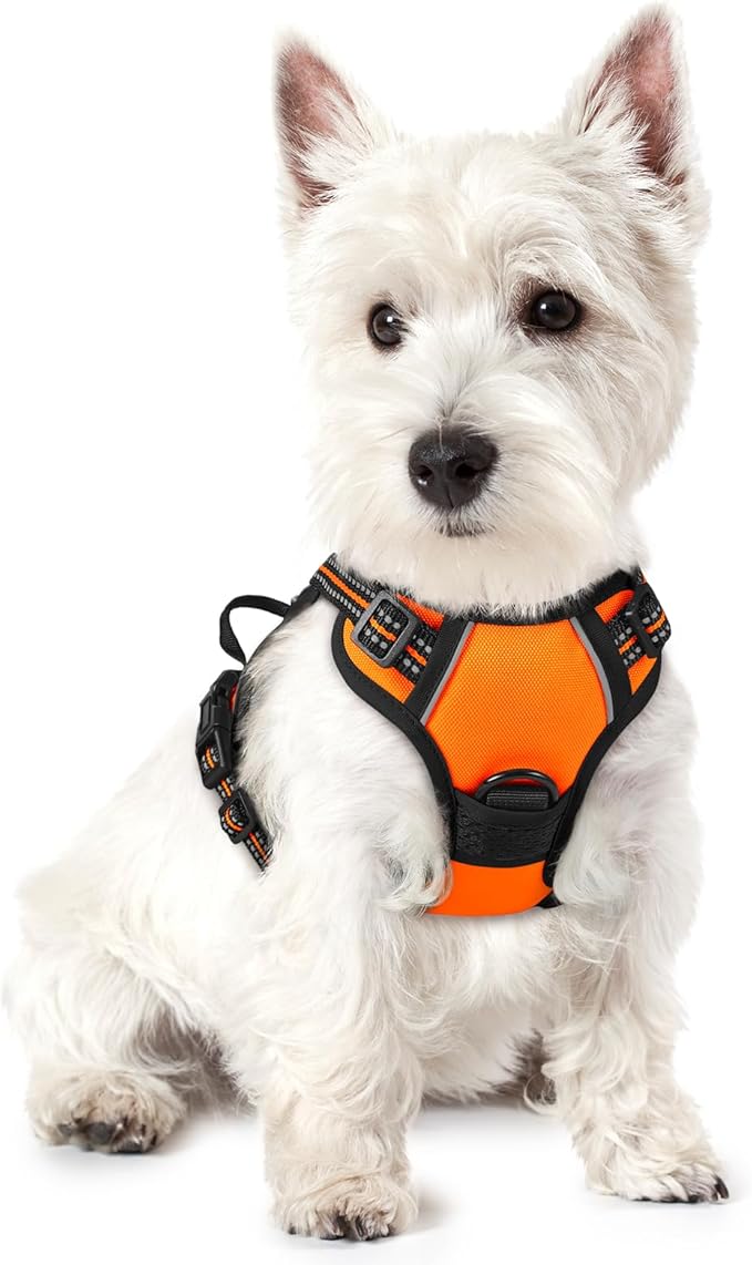 rabbitgoo Dog Harness No Pull with 2 Leash Clips, Adjustable Soft Padded, Reflective Oxford No Choke Pet Vest with Easy Control Handle for Puppy, Orange,XS
