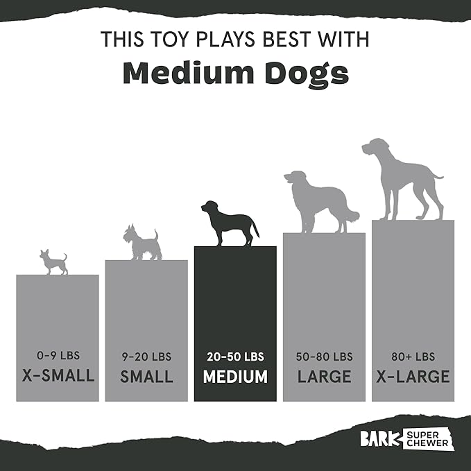 Barkbox Grateful Ted Dog Toy for Medium Dogs – Strawberry-Scented Rip & Reveal Toy for Determined Chewers and Interactive Playtime