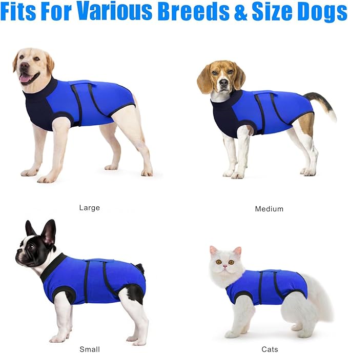 Idepet Dog Recovery Suit Female,Dogs Onesie Suit Surgery Male Breathable Pet Bodysuit for Spay Neuter E-Collar & Cone Alternative Surgical Suit Puppy Abdominal Anti Licking Wounds Shirt (Blue, M)